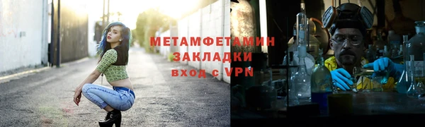 прущие грибы Богородск