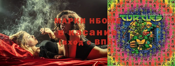 прущие грибы Богородск