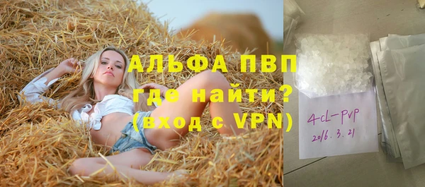 прущие грибы Богородск