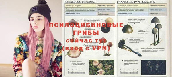 альфа пвп VHQ Богданович