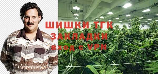 прущие грибы Богородск