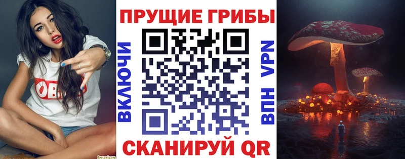 Псилоцибиновые грибы Magic Shrooms  Михайлов 