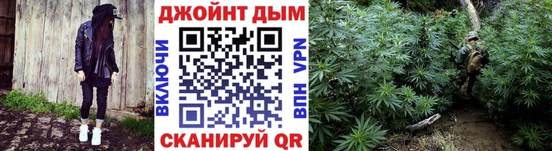 Конопля сатива  Михайлов 